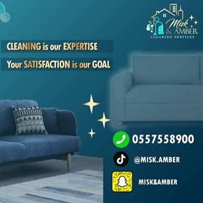 sofa cleaning company